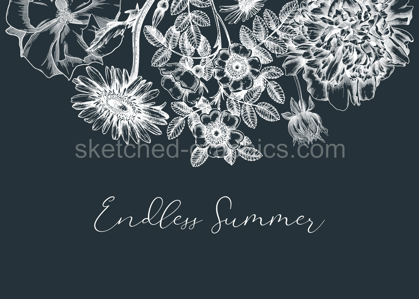 Summer flowers borders in vintage style. Hand-sketched garden plants design on chalkboard. For greeting cards, wedding invites, and banners. Hand-drawn botanical illustration with floral sketches. Illustration
